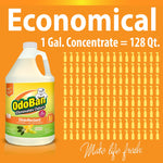 OdoBan Air Freshener & Deodorizer, Citrus Scent, 1 Gallon (911661-G4)