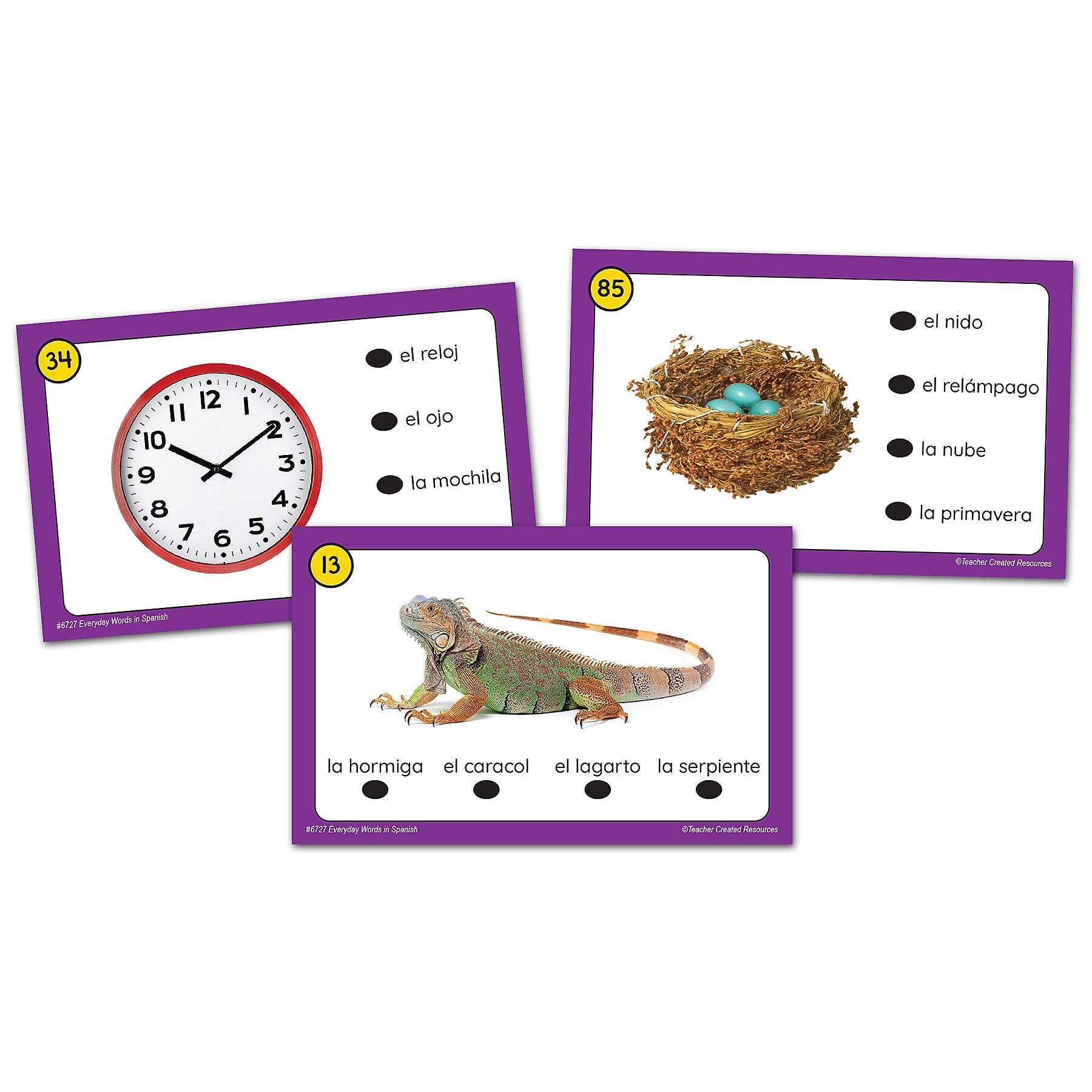 Teacher Created Resources Power Pen Learning Cards: Everyday Words in Spanish, 53/Pack (TCR6727)