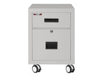 FireKing 2-Drawer Mobile Vertical File Cabinet, Letter/Legal Size, Lockable, Fire Resistant, Platinum (2M1822-1PLI)