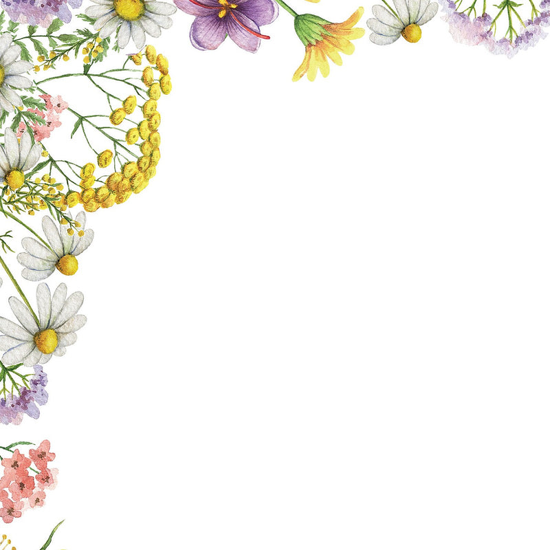 Great Papers! Flower Meadows Everyday Letterhead, Multicolor, 80/Pack (2019077)