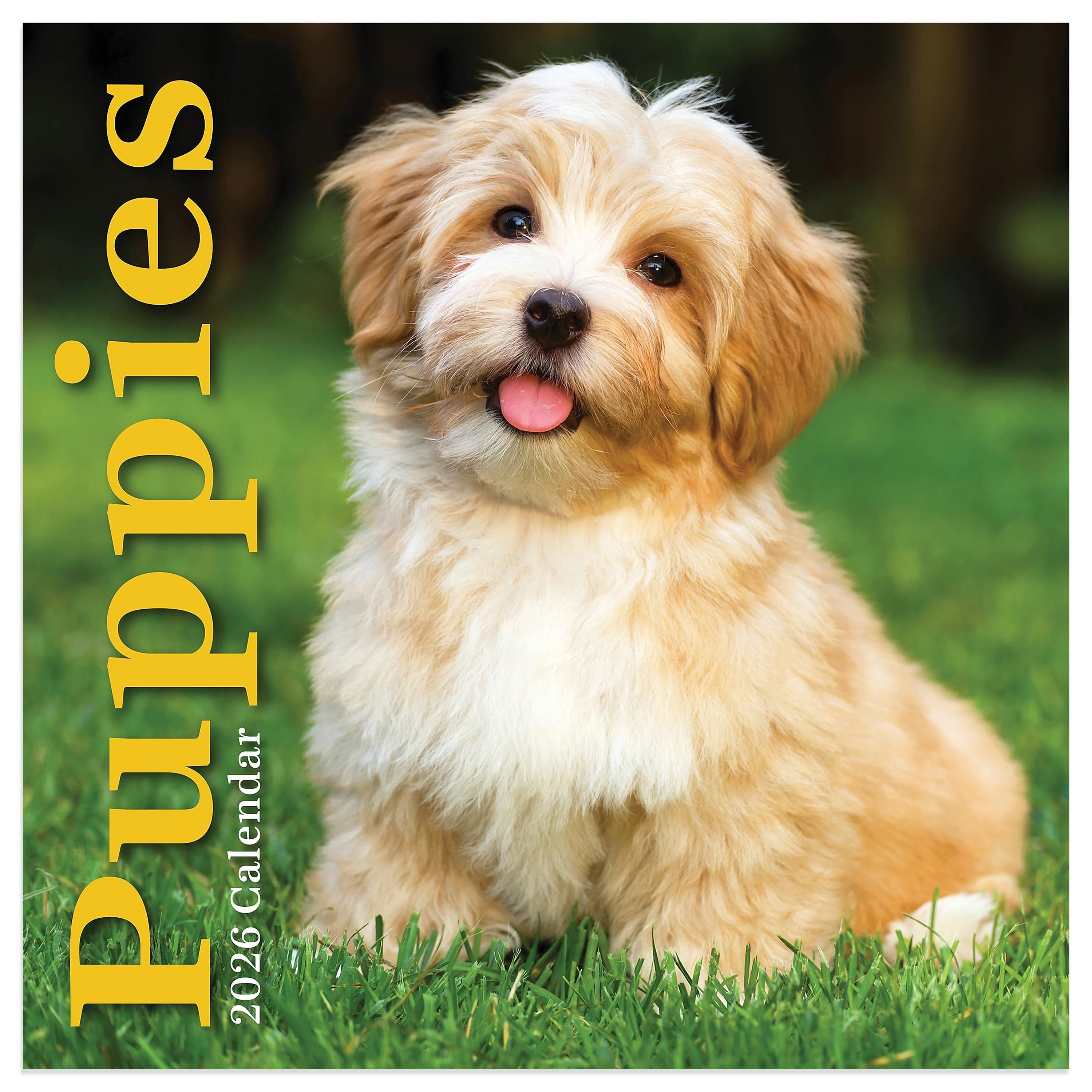 2026 TF Publishing 12" x 17" TF Publishing 7" x 7" Puppies Mini Calendar 26-2007