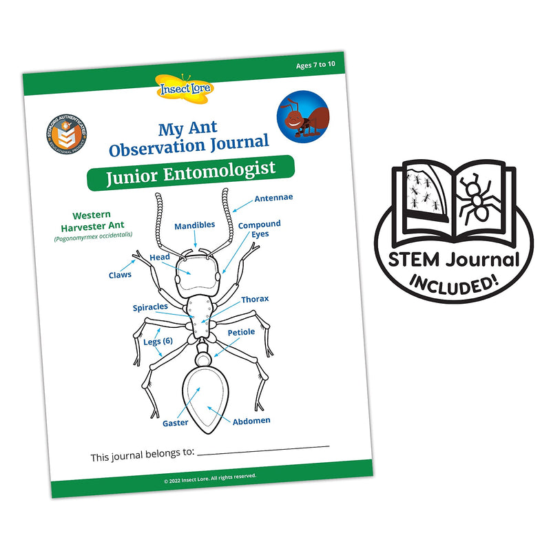 Insect Lore Ant Hill Ant Habitat (ILP5530)
