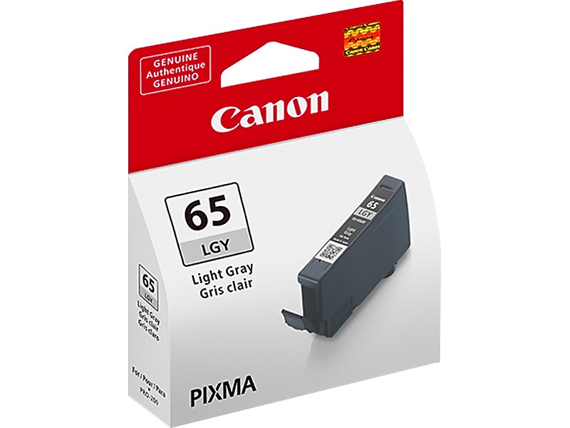Canon 65 LGY Light Gray Standard Yield Ink Cartridge (4222C002)