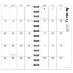 2026 TF Publishing Citrus 3.5" x 6.5" Weekly & Monthly, Paperboard Cover, Multicolored (26-7504)