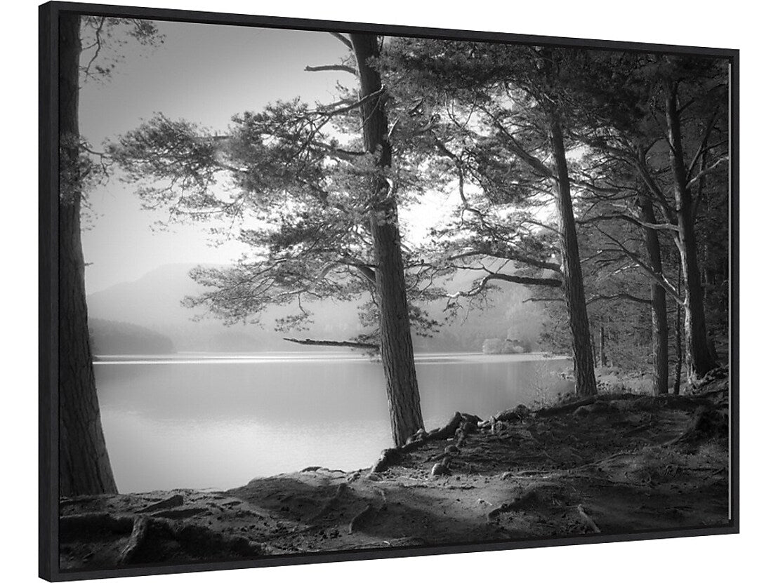 Amanti Art Scottish Lake, Canvas, 33" x 23" (A42675514929)