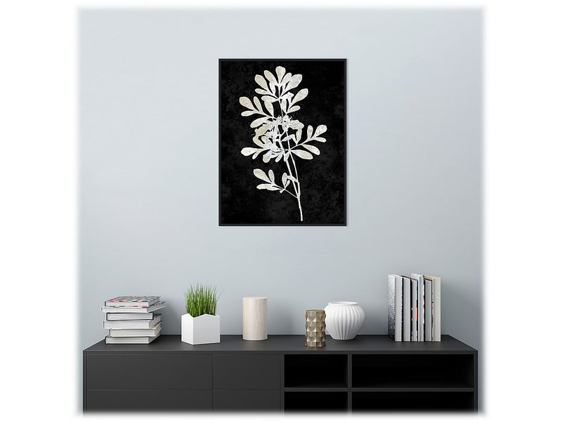 Amanti Art Plant Life White on Black II, Canvas, 23" x 30" (A42675515283)