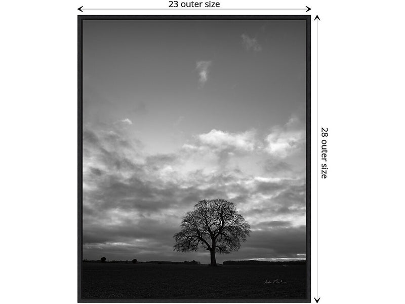 Amanti Art Horizon Tree BW, Canvas, 23" x 28" (A42675515097)