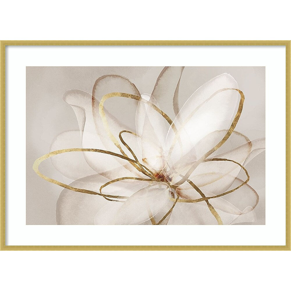 Amanti Art Transparent Beauty III (Floral) by Eva Watts Wood Framed Wall Art Print, 41" x 30" (A42677794069)