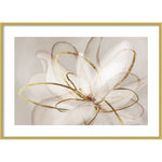 Amanti Art Transparent Beauty III (Floral) by Eva Watts Wood Framed Wall Art Print, 41" x 30" (A42677794069)