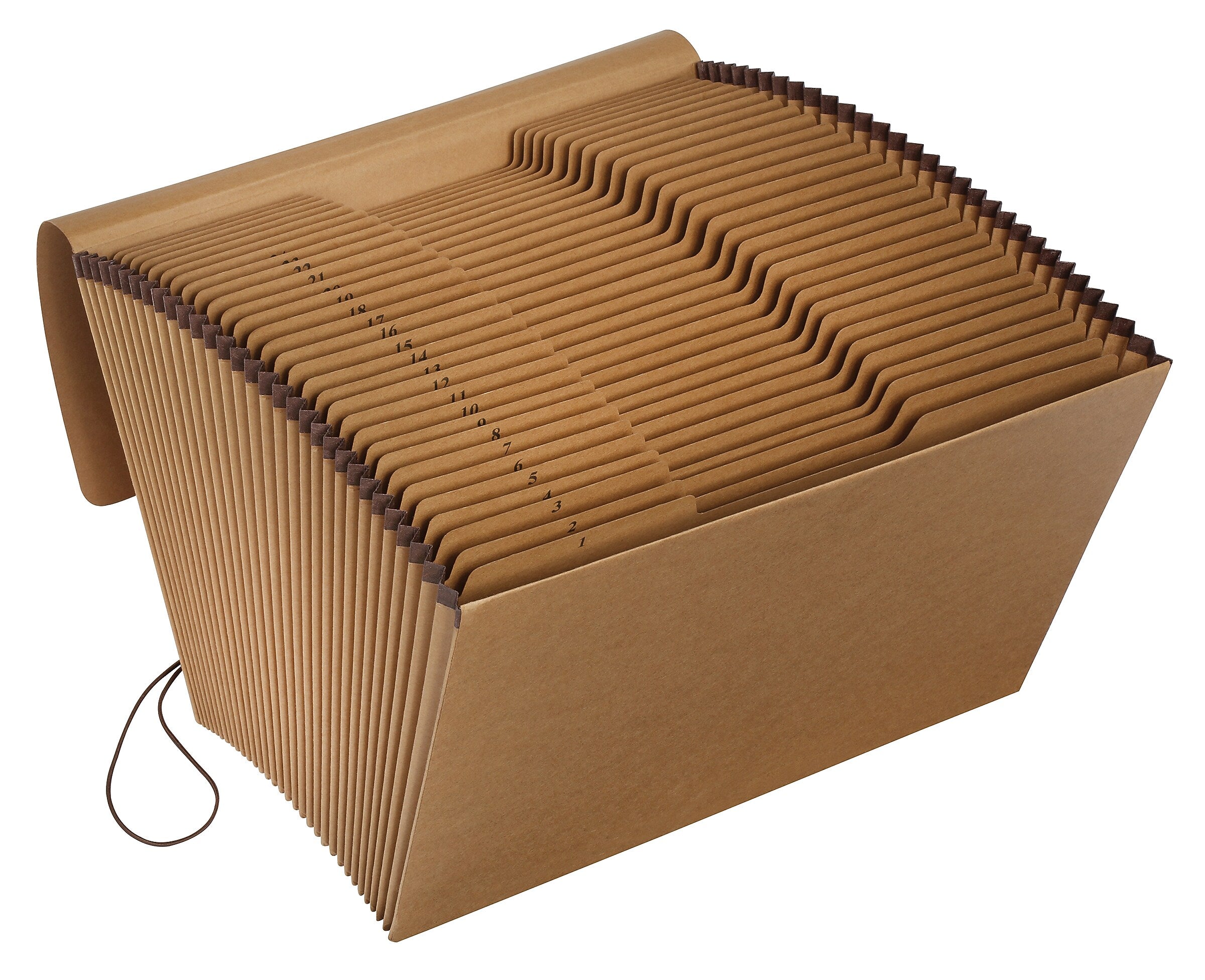 Pendaflex Essentials Reinforced Redrope Accordion File, Numerical Index, 31 Pocket, Legal, Redrope (K-19D-OX)
