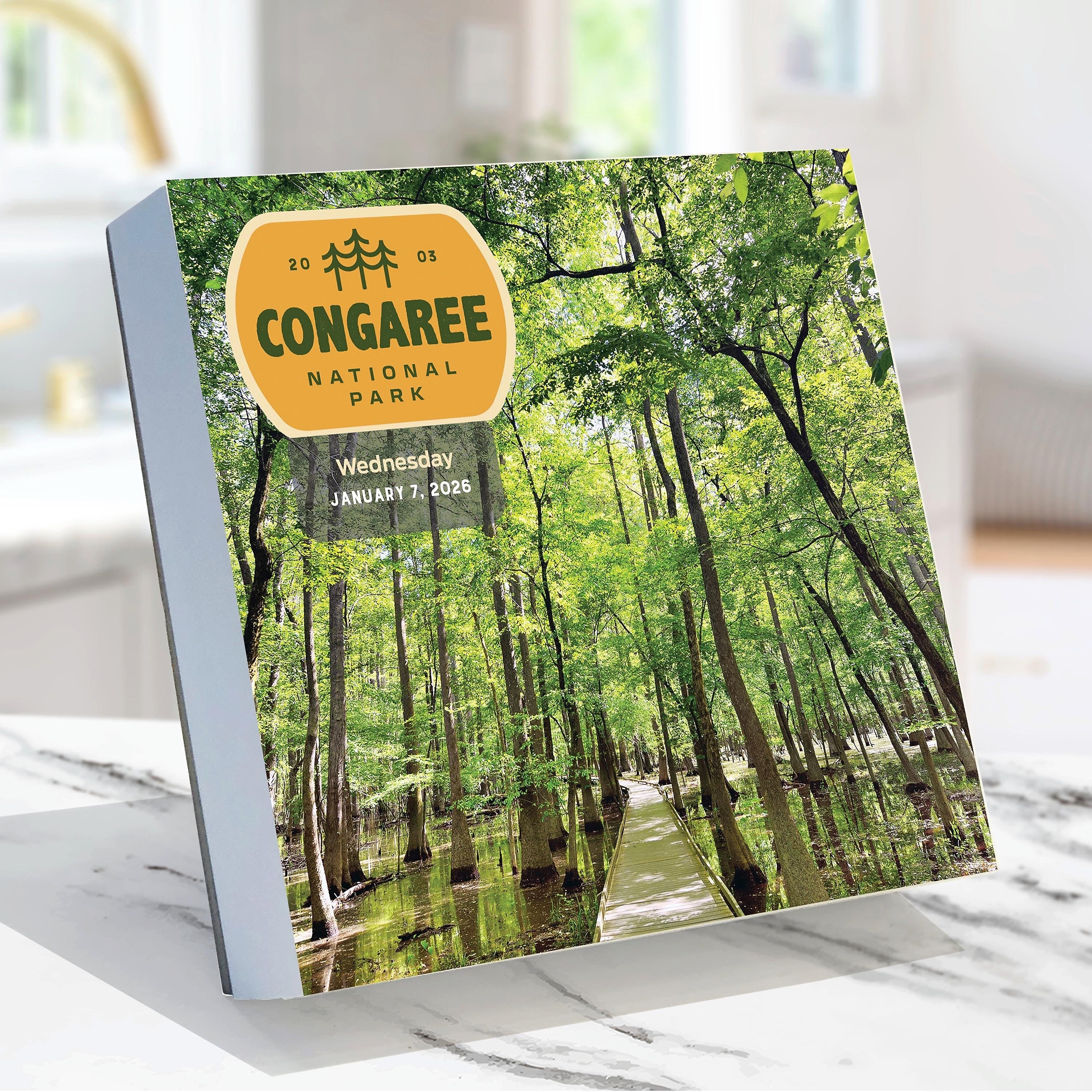 2026 TF Publishing 5.25" x 5.25" Daily Day-to-Day Calendar, (26-3062)