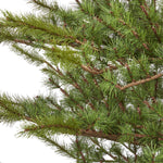 Nearly Natural 7-ft Vancouver Mountain Pine Artificial Christmas Tree with 374 Bendable Branches (T2012)
