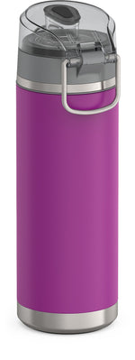 Thermos Icon Stainless Steel Vacuum Insulated Water Bottle, 24 oz., Plum (EAIS2204PL4)
