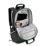 Skyway Luggage Rainier Deluxe Laptop Backpack, Olympic Green (505-17-300-BKP)