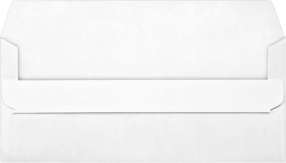 JAM Paper Booklet Envelope 4 1/8" x 9 1/2", White, 50/Pack (28727-50)
