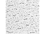 Armstrong FISSURED Square Lay-In Edge Ceiling Tile, 24" x 24", White, 16/Carton (BP756A)