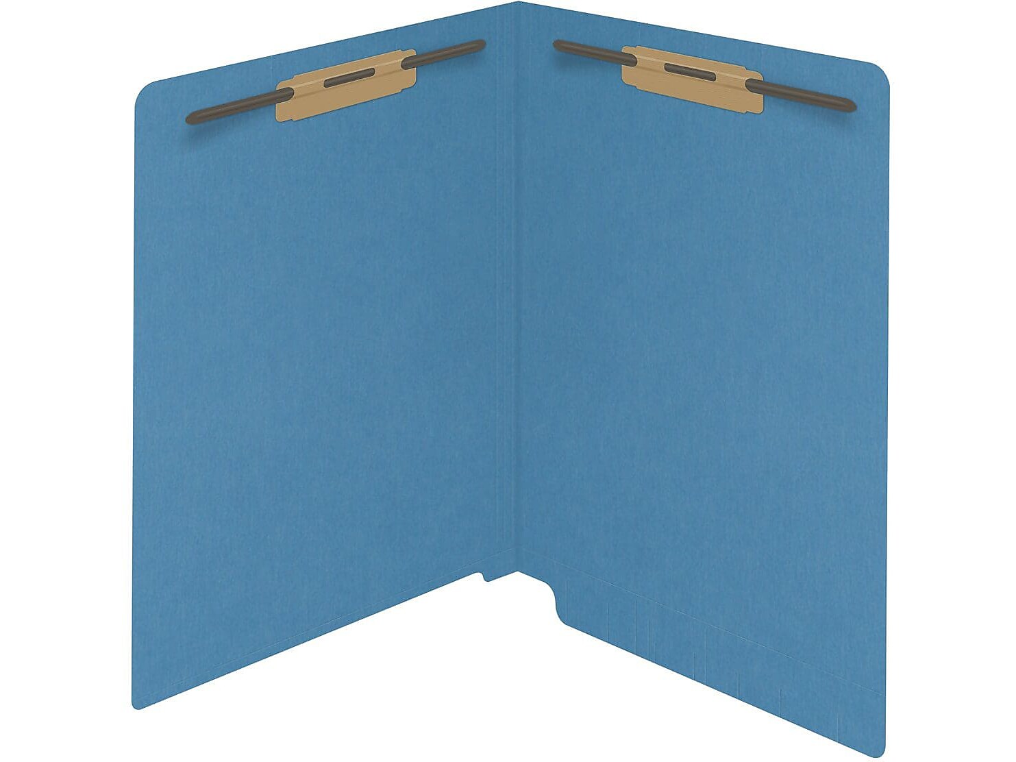 Medical Arts Press Reinforced End Tab File Folder, Straight Cut, Letter-Size, Blue, 250/Carton (S-01602-BLU-B)