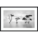 Amanti Art Waving Trees by Steven Fudge Wood Framed Wall Art Print, 41" x 27" (A42675533675)