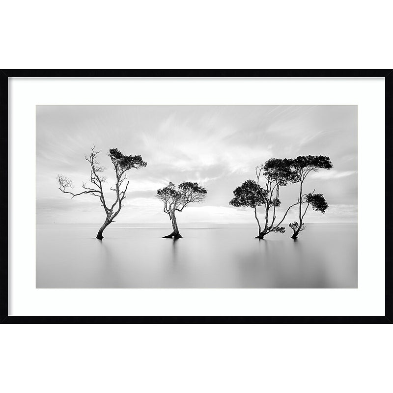 Amanti Art Waving Trees by Steven Fudge Wood Framed Wall Art Print, 41" x 27" (A42675533675)