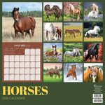 2026 TF Publishing Horses 12" x 12" Monthly Wall Calendar (26-1012)