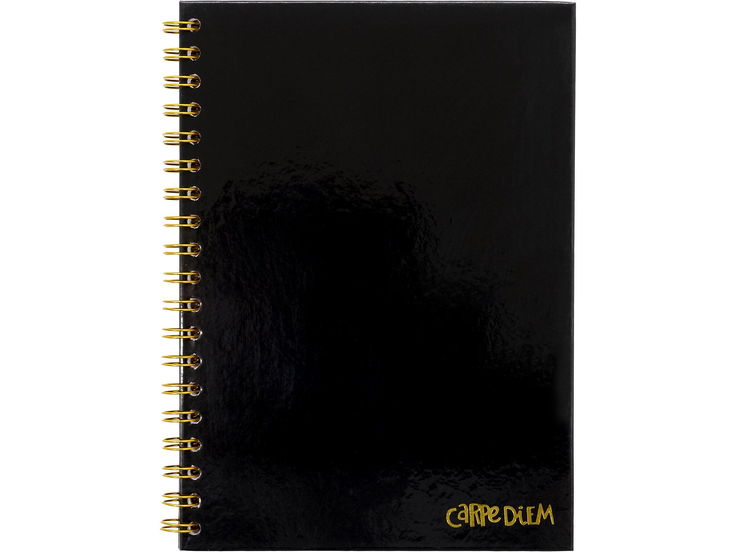 Carpe Diem 1-Subject Notebook, 7.5" x 9.75", Wide-Ruled, 80 Sheets, Black (9375-CD)