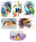 Better Office Cards with Envelopes, 4" x 6", Birds & Butterflies, 50/Pack (64564-50PK)