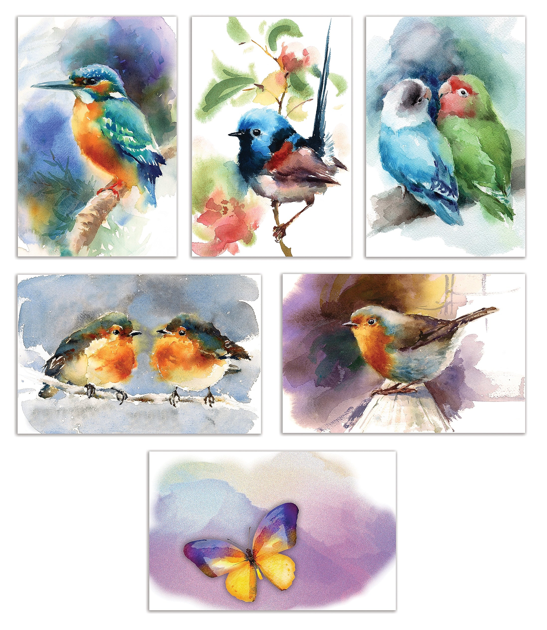Better Office Cards with Envelopes, 4" x 6", Birds & Butterflies, 50/Pack (64564-50PK)