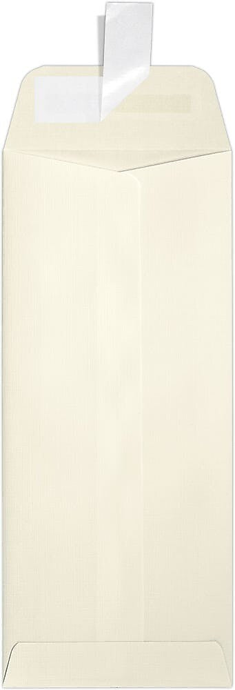 JAM Paper Self Seal Policy Envelope 4 1/8" x 9 1/2", Natural Linen, 50/Pack (7716-NLI-50)