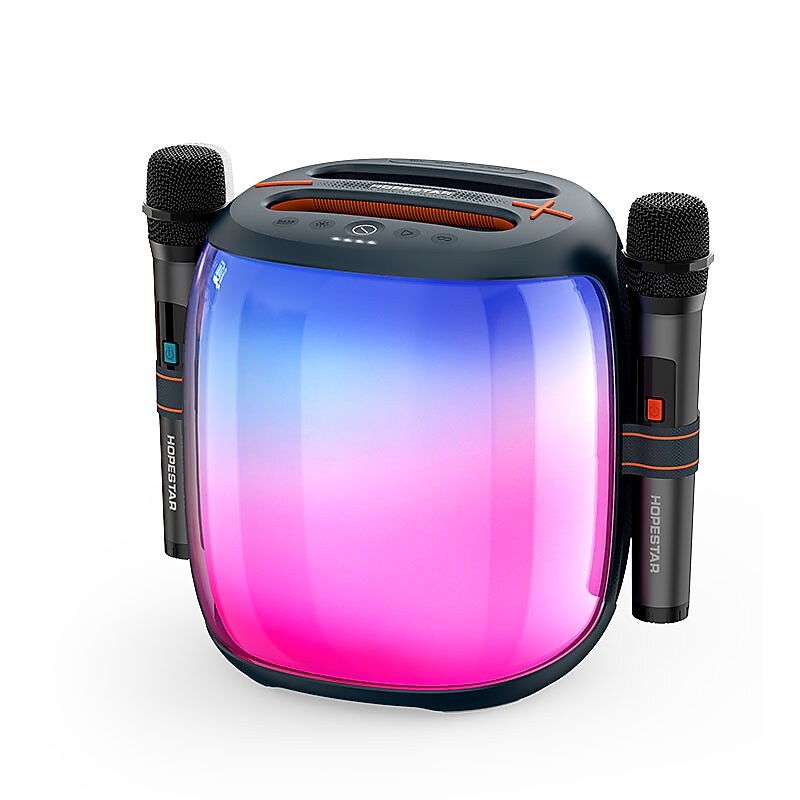 Worryfree Gadgets Party 500 Wireless Bluetooth Portable Speaker, Water Resistant, Black (WPB500-BLK)