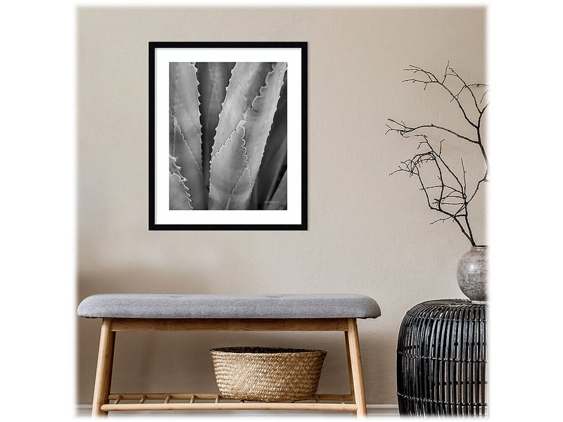 Amanti Art Abstract Agave I, Paper, 21" x 25" (A42675516734)
