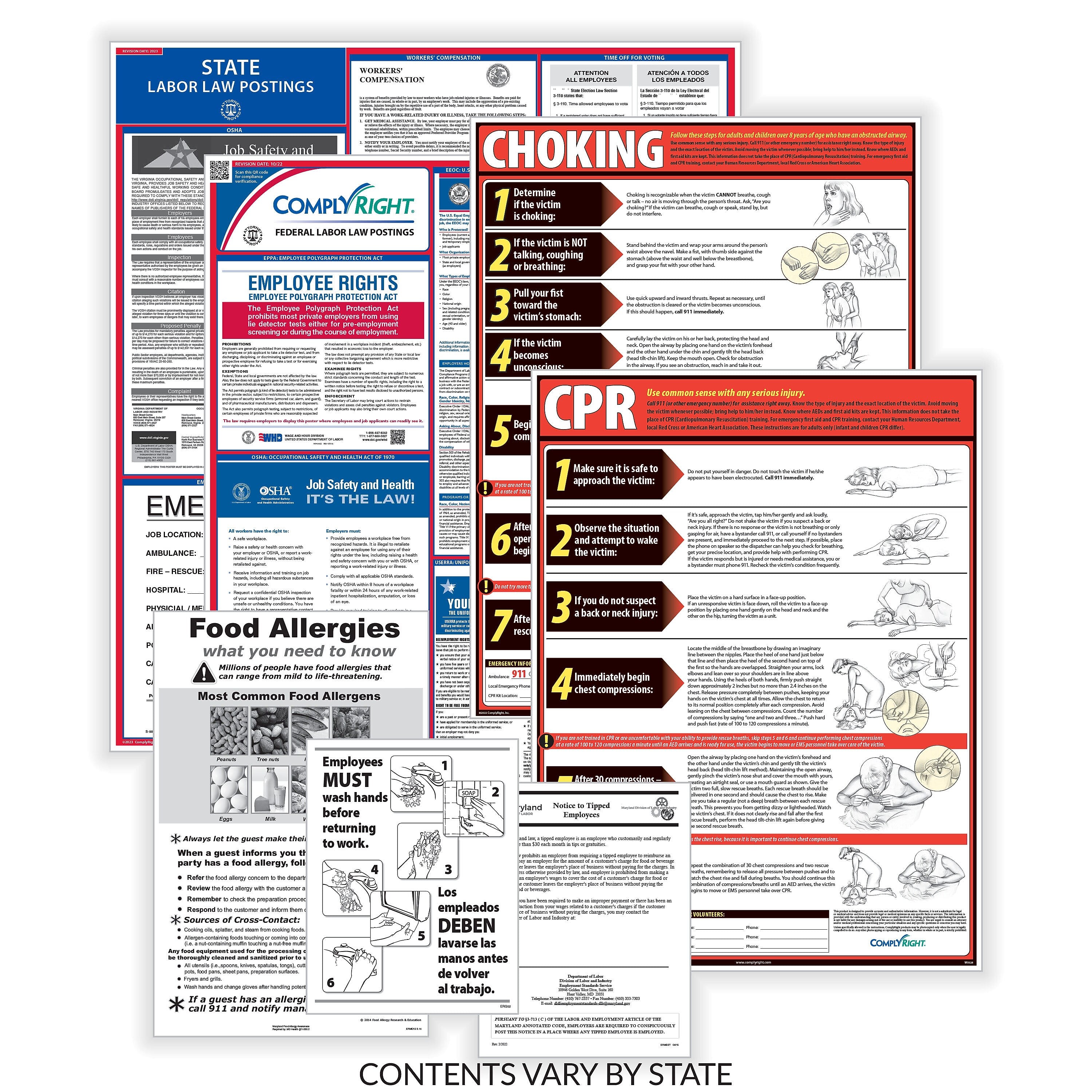 ComplyRight Federal, State and Restaurant (English) Labor Law Poster Set, Puerto Rico (E50PRREST)