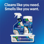 Clorox Scentiva Disinfecting Wipes, Coconut and Waterlily Scent, 75 Wipes/Container (60037)