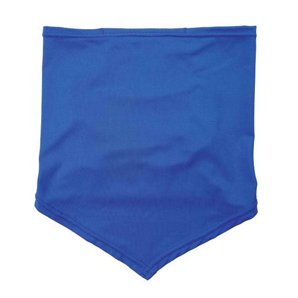 Ergodyne Chill-Its Cooling Bandana, Blue, Small/Medium (42135)