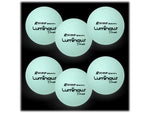 Champion Sports Rhino Skin Luminous 6.3" Dodgeball, White, 6/Set (RXLUMSET)