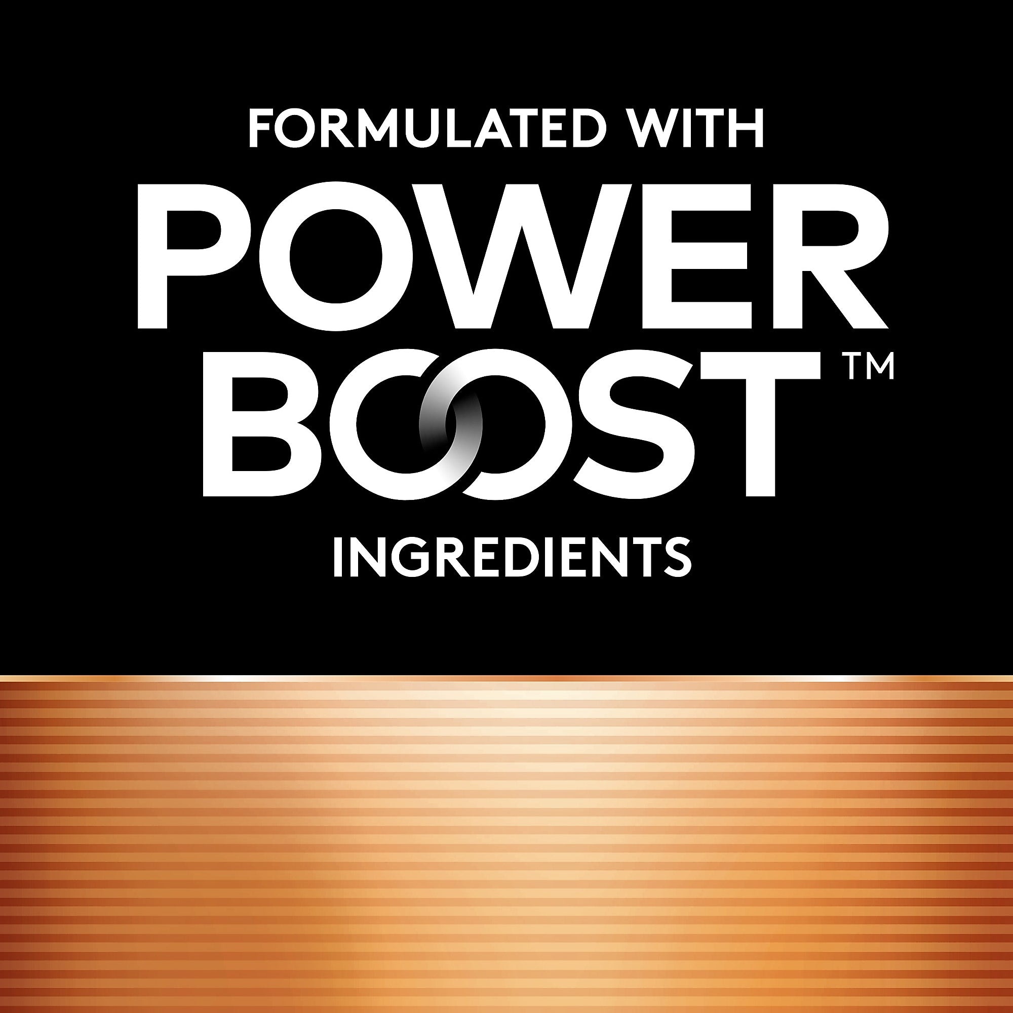 Duracell Coppertop AA Alkaline Battery, 10/Pack (MN1500B10Z)