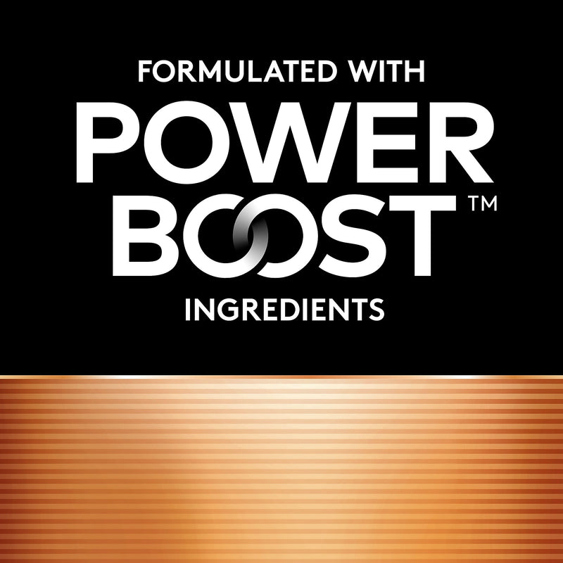 Duracell Coppertop AA Alkaline Battery, 10/Pack (MN1500B10Z)
