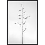 Amanti Art Amid the Flowers 51 by Teis Albers Framed Canvas Wall Art Print, 23" x 33" (A42677457054)