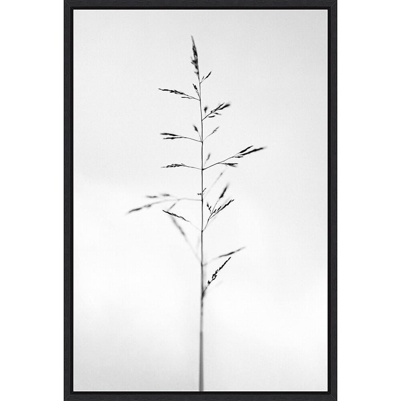 Amanti Art Amid the Flowers 51 by Teis Albers Framed Canvas Wall Art Print, 23" x 33" (A42677457054)