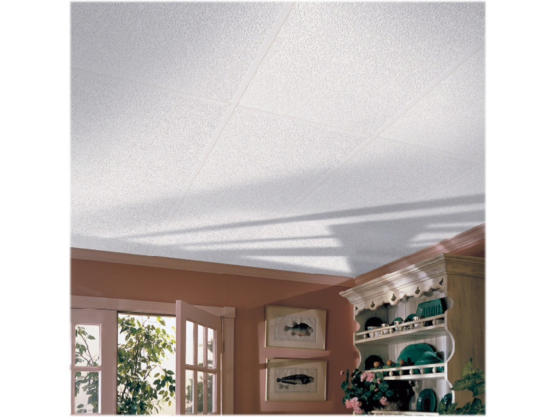 Armstrong RANDOM FISSURED Square Lay-In Edge Ceiling Tile, 24" x 48", White, 16/Carton (BP2911A)