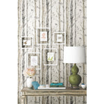 York Wallcoverings Birch Trees Peel and Stick Wallpaper (RMK9047WP)