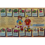 Captain Creative Super Sponges Sea Life Pack, 1", Assorted Colors, 8/Set (APISS18005)