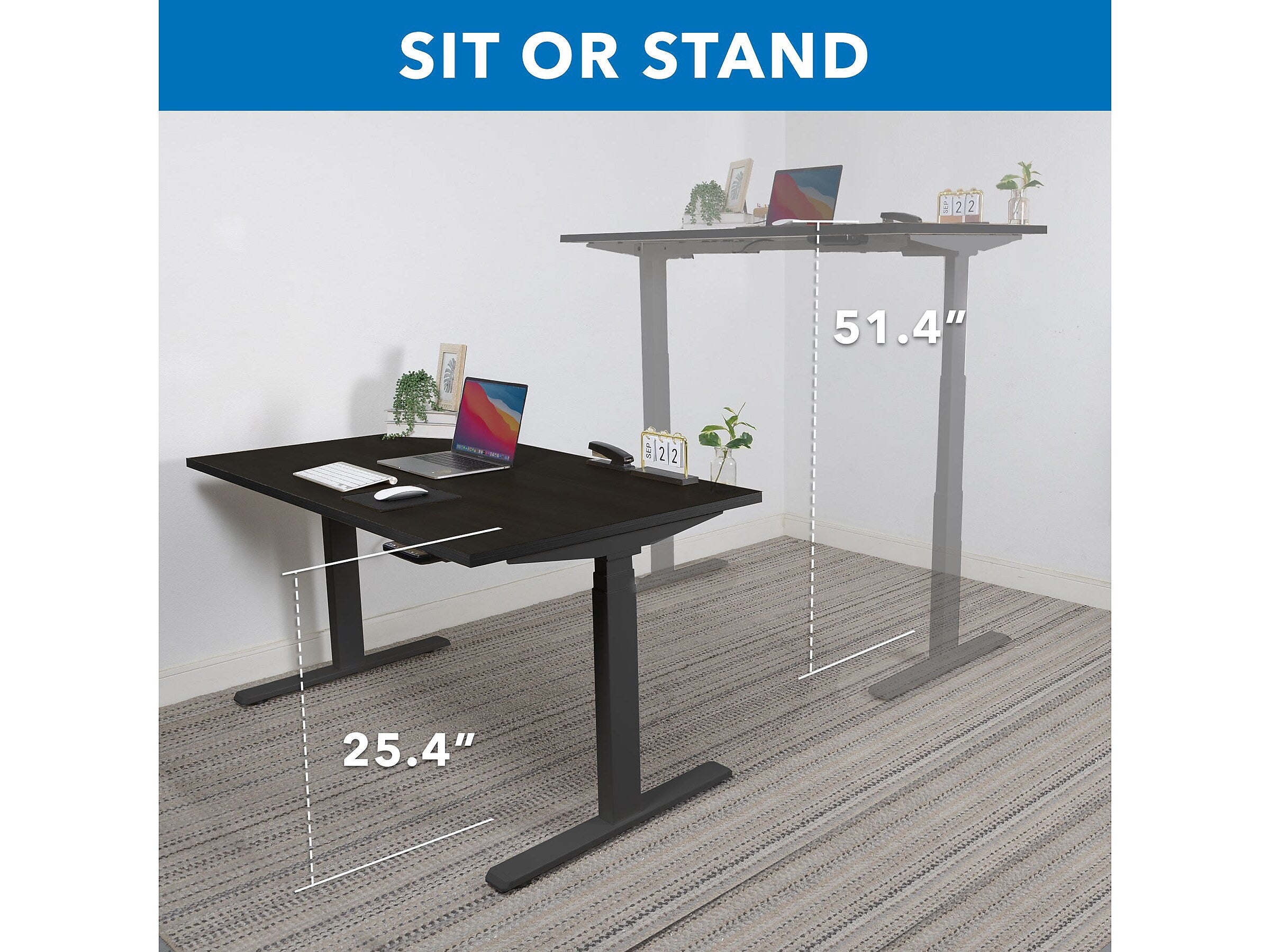 Mount-It! Ultimate 55"W Electric Rectangular Adjustable Standing Desk, Black (MI-18079)