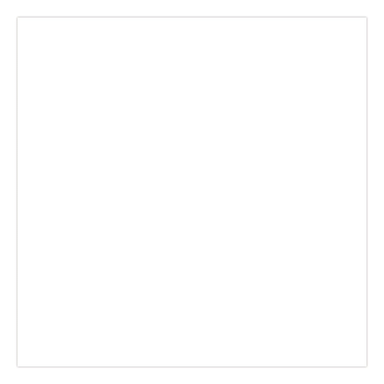 Rust-Oleum Stops Rust Enamel Spray Paint, Matte Clear, 12 oz., 6/Carton (376868)