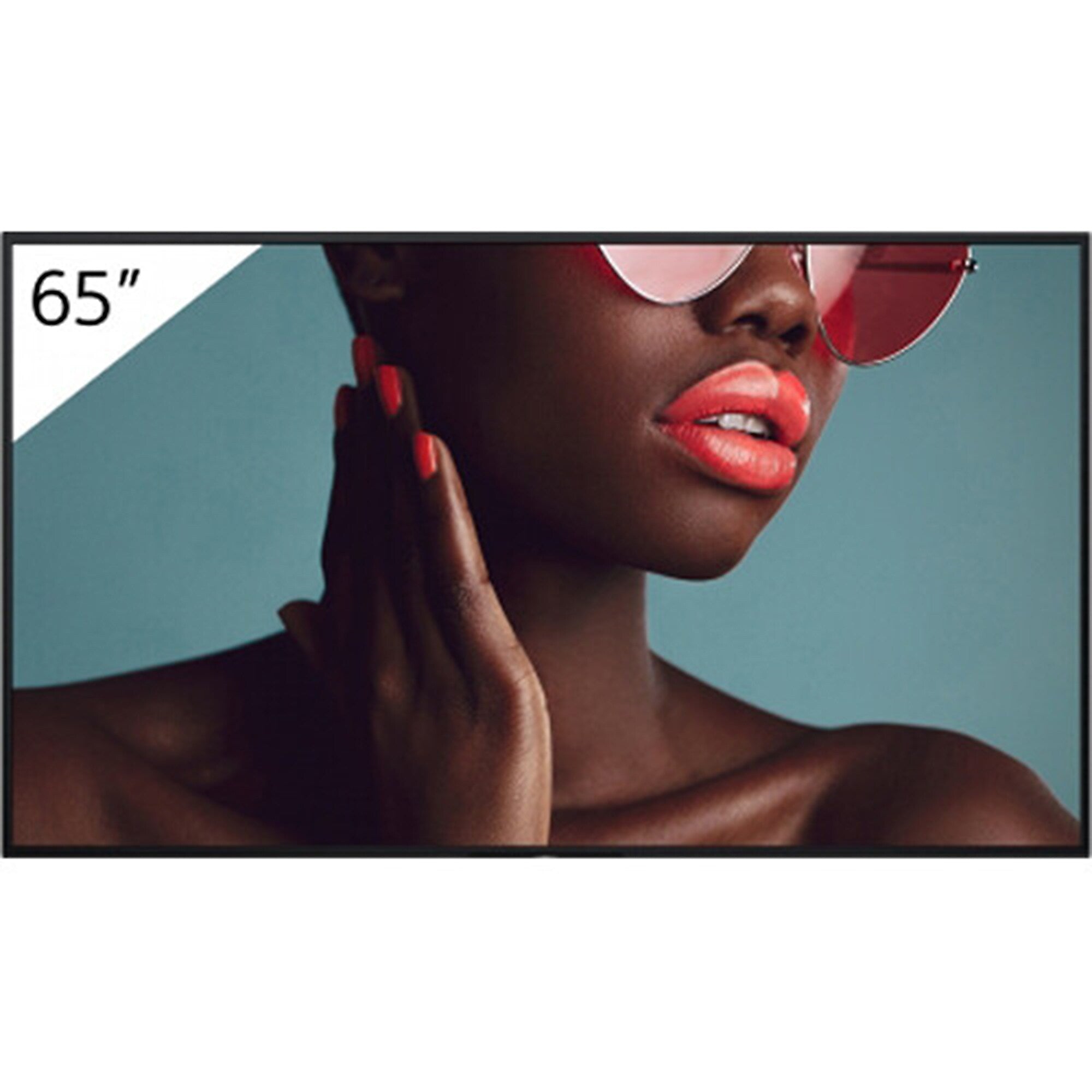 Sony BZ40L Professional 65" Wall-Mounted Commerical Monitor for Digital Signage (FW-65BZ40L)