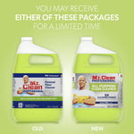 Mr. Clean Professional Liquid Concentrate All Purpose Floor Cleaner, Lemon Scent, 1 Gallon (02621)