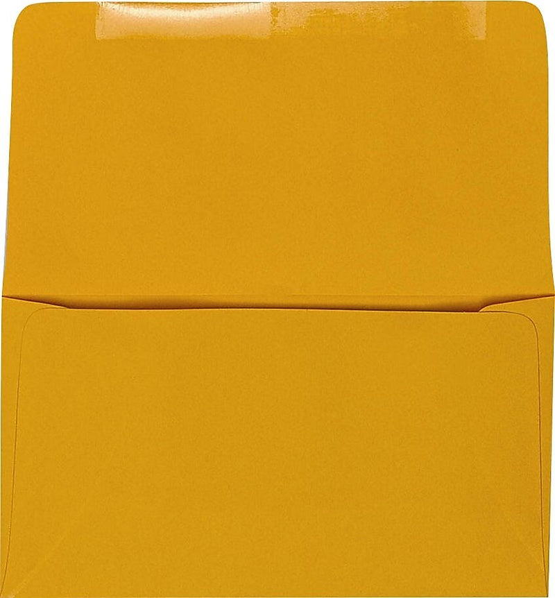 JAM Paper #6 1/4 Booklet Envelope 3 1/2" x 6", Goldenrod, 50/Pack (R253-50)