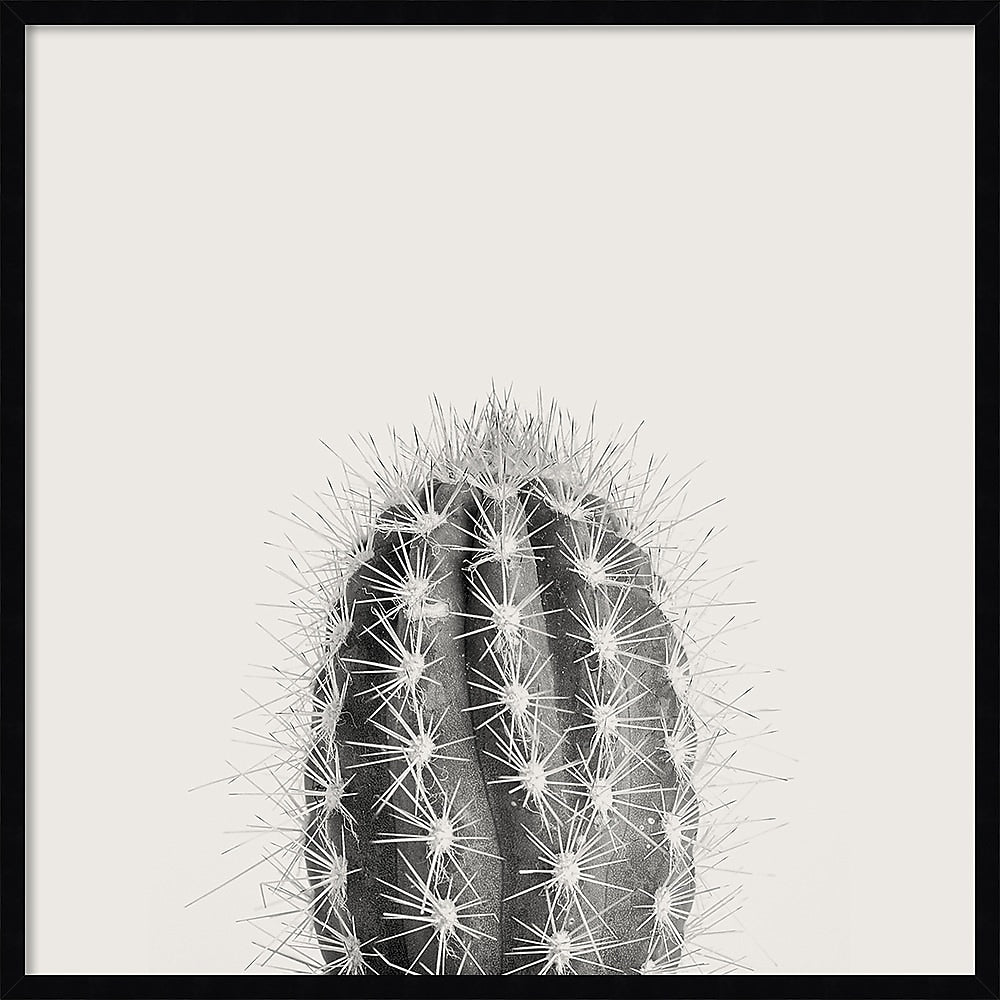 Amanti Art Haze Cactus Succulent Tall by The Creative Bunch Studio Wood Framed Wall Art Print, 33" x 33" (A42675345771)