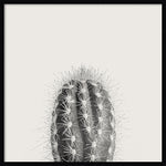 Amanti Art Haze Cactus Succulent Tall by The Creative Bunch Studio Wood Framed Wall Art Print, 33" x 33" (A42675345771)