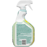 CloroxPro Clorox EcoClean Disinfecting Cleaner, 32 Oz. (60213)