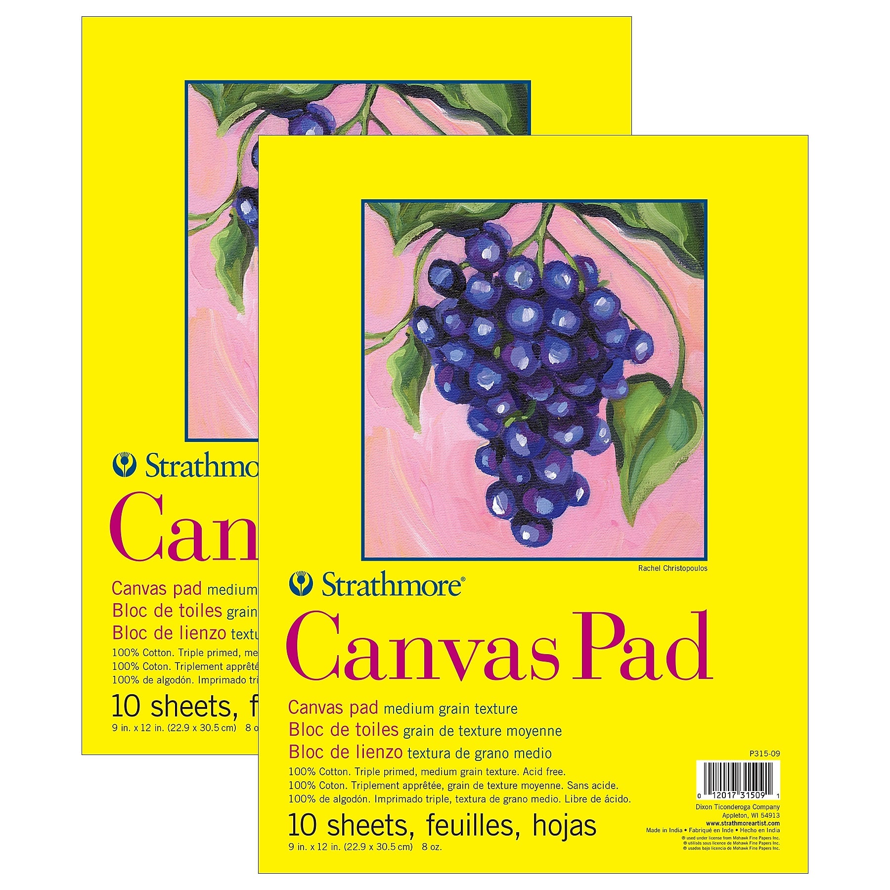 Strathmore 300 Series 9" x 12" Tape Bound Canvas Pad, 10 Sheets/Pad, 2 Pads/Bundle (STTP31509-2)